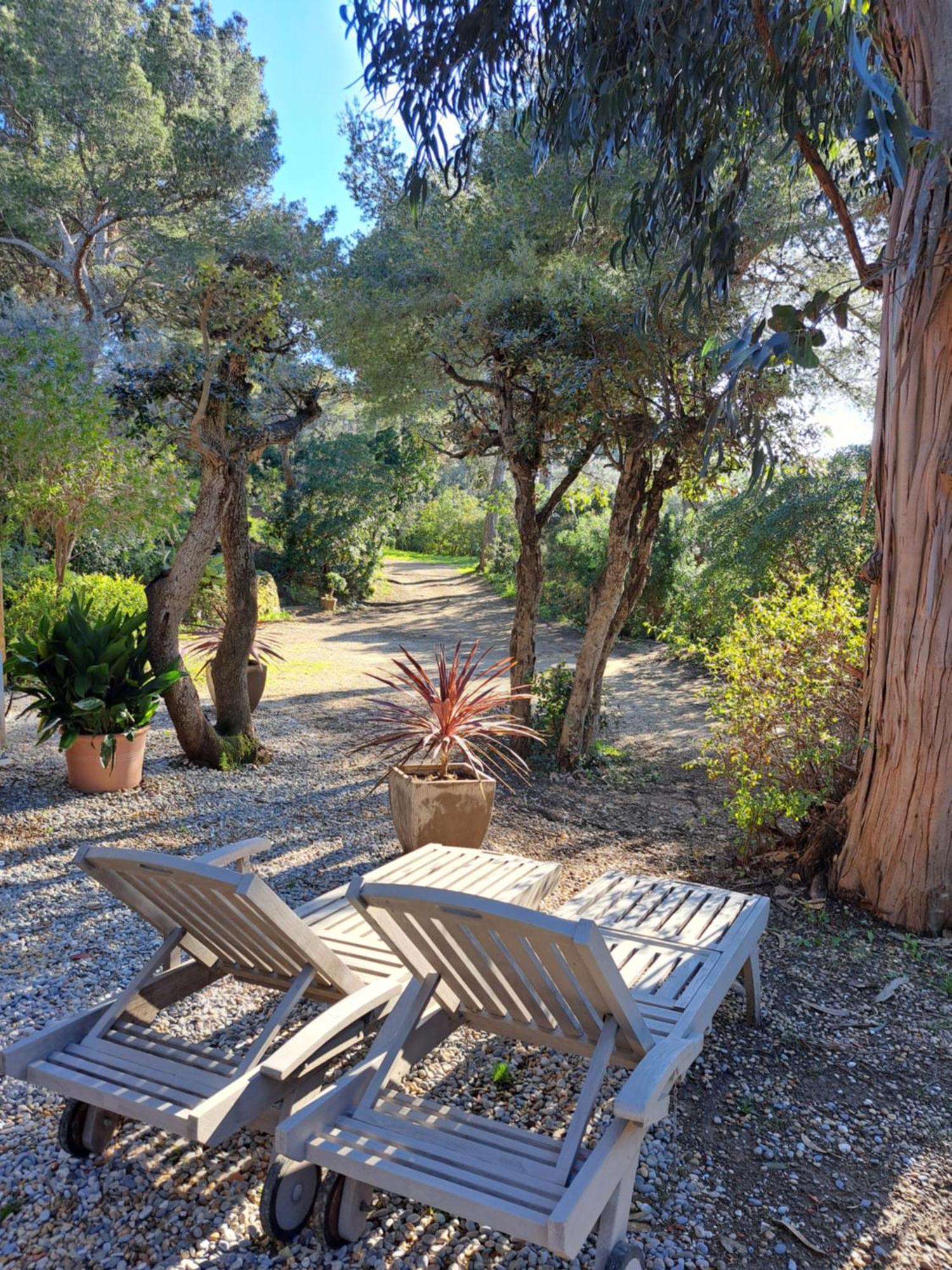 Bastide Presqu Ile De Giens Superbe Vue Piscine Hyères