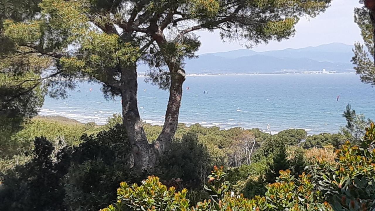 Villa Bastide Presqu Ile De Giens Superbe Vue Piscine
