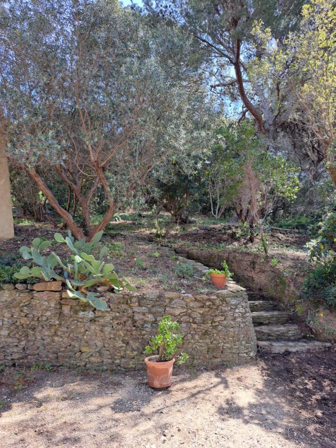 Bastide Presqu Ile De Giens Superbe Vue Piscine