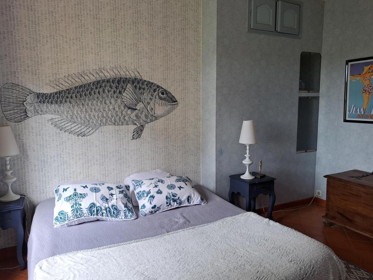 Bastide Presqu Ile De Giens Superbe Vue Piscine Villa