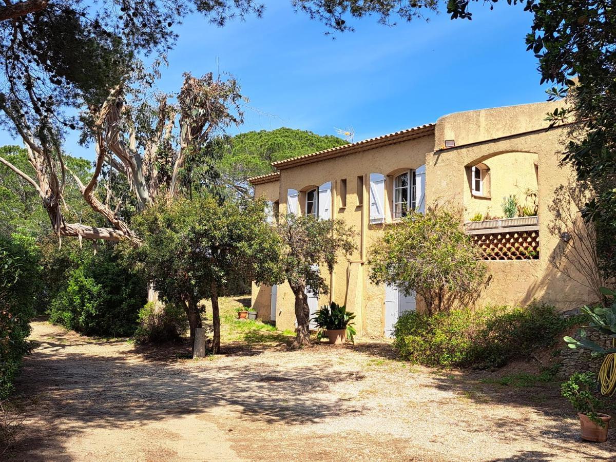 Bastide Presqu Ile De Giens Superbe Vue Piscine * Hyeres